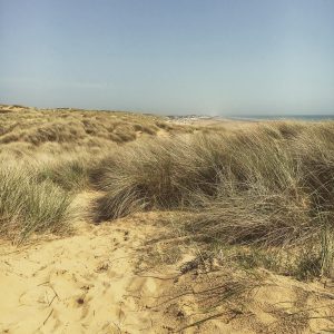 Beach picnic